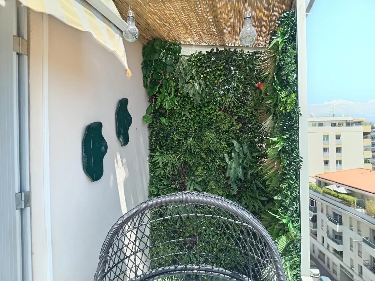 Sohja Daire Cannes Fransa